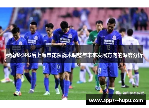 费南多退役后上海申花队战术调整与未来发展方向的深度分析 费南多退役后上海申花队战术调整与未来发展方向的深度分析