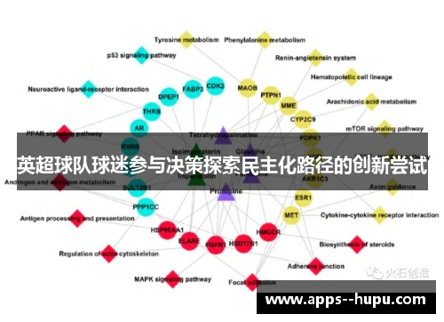 英超球队球迷参与决策探索民主化路径的创新尝试 英超球队球迷参与决策探索民主化路径的创新尝试