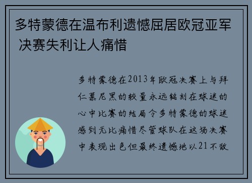 多特蒙德在温布利遗憾屈居欧冠亚军 决赛失利让人痛惜